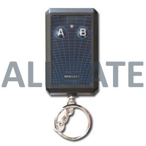 AAKEY302